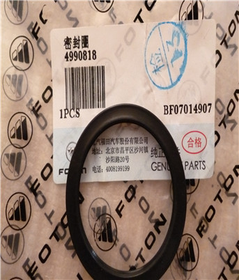 Sealing gasket 4990818