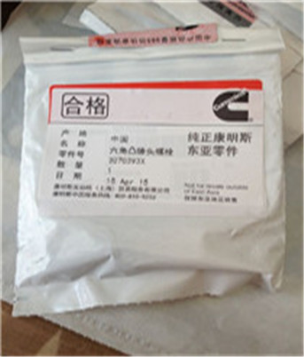 六角凸缘头螺栓3070393X