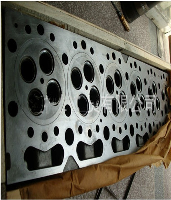 D5010550544