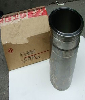 D5010359561