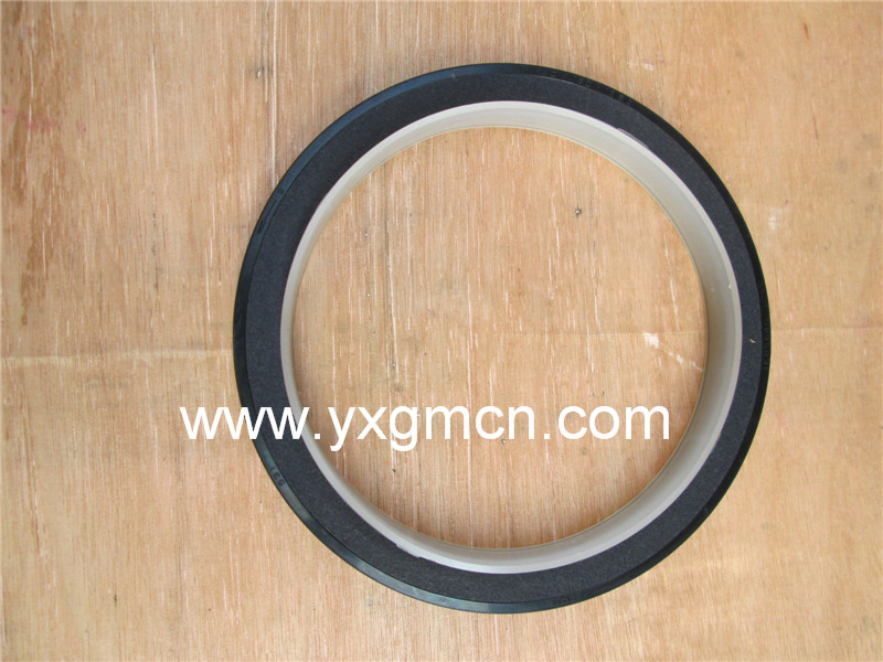 Renault Dci11 Crankshaft rear oil seal 5010295831
