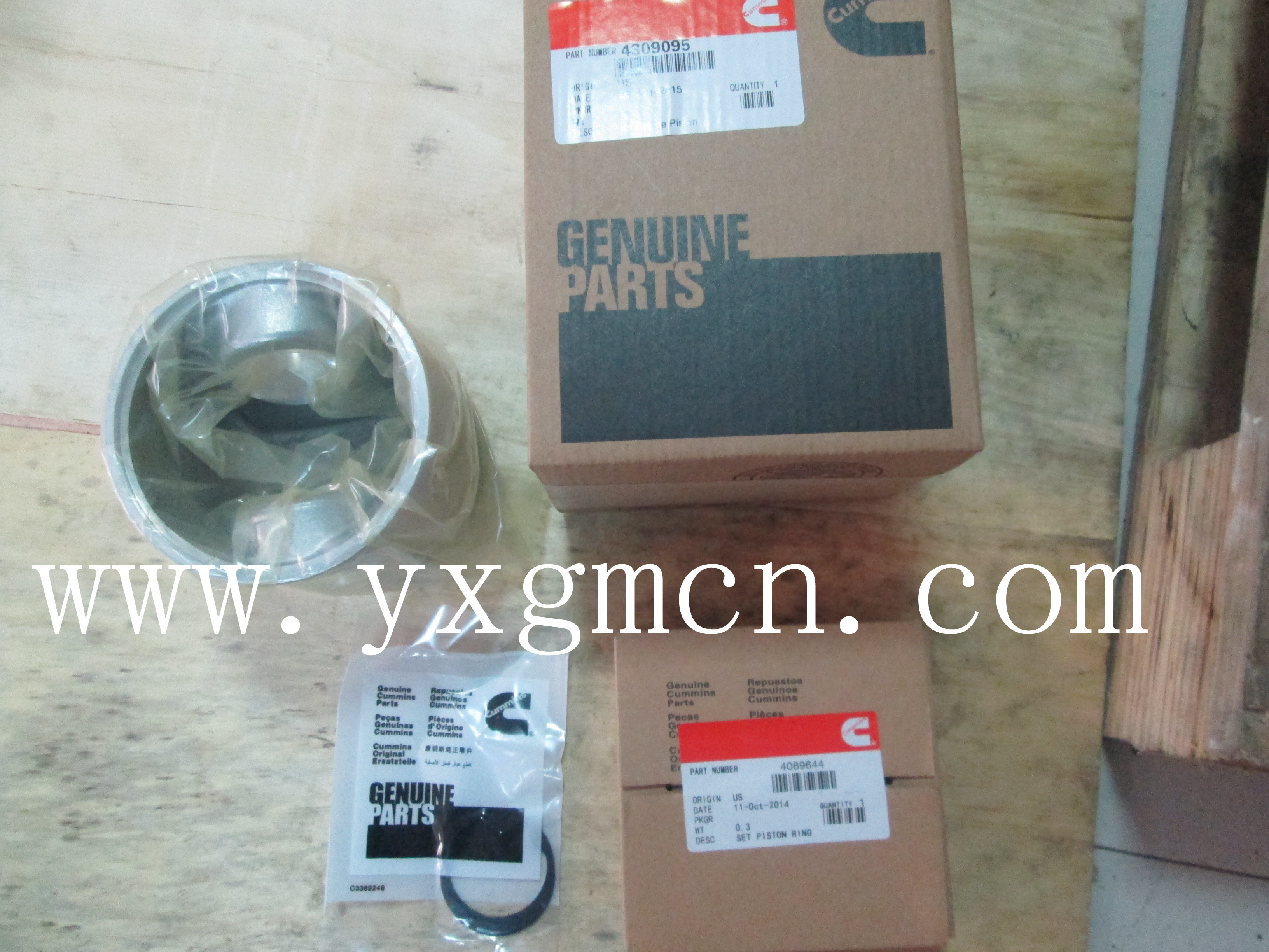 Piston assembly 4309095